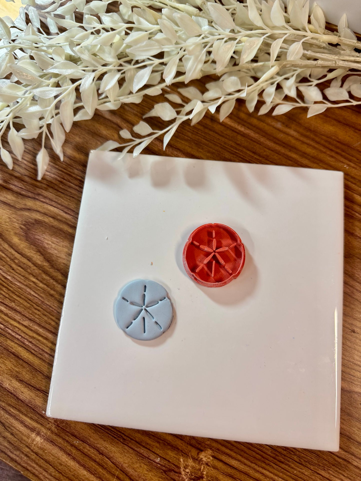 Sand dollar Clay Cutter