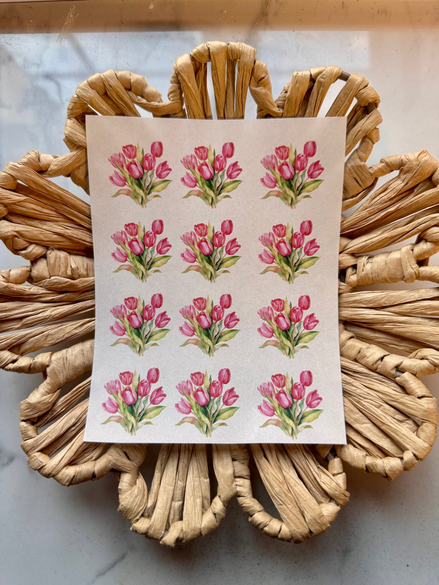 Charm Transfer Sheet 60