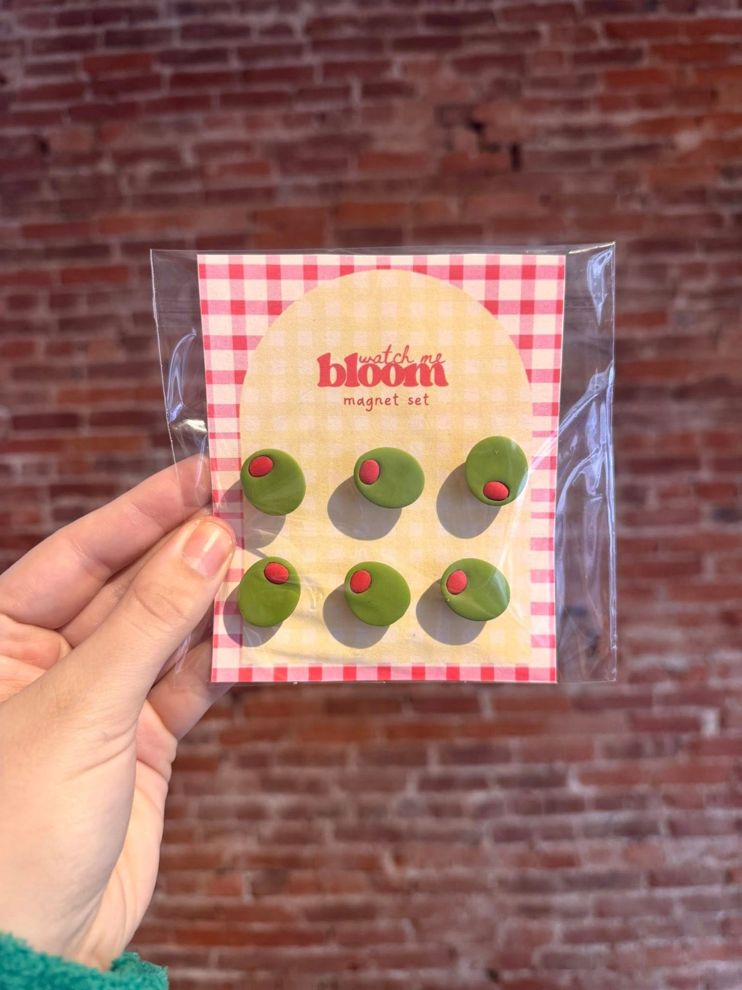 Pimento Olive Magnet Set
