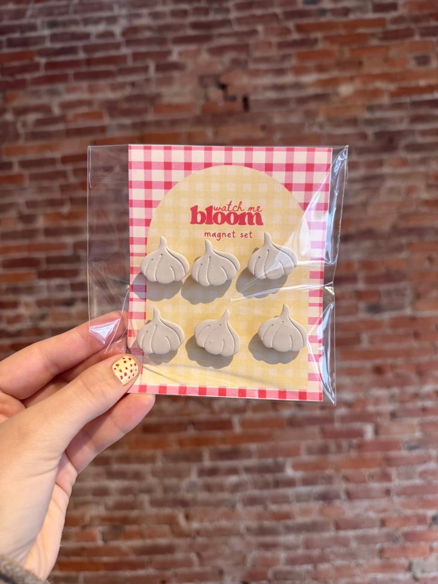 Garlic Clay Magnet Set