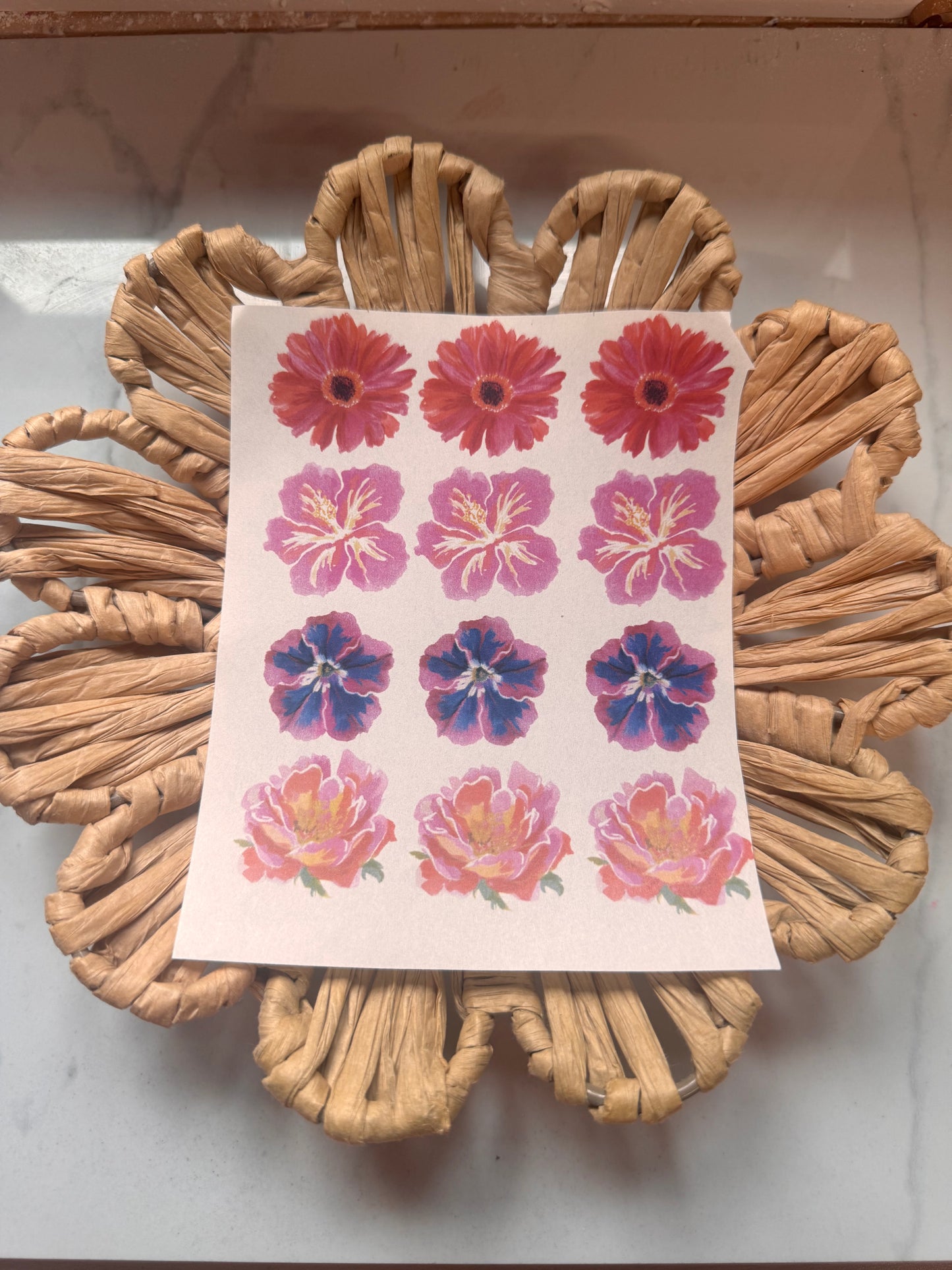 Charm Transfer 81