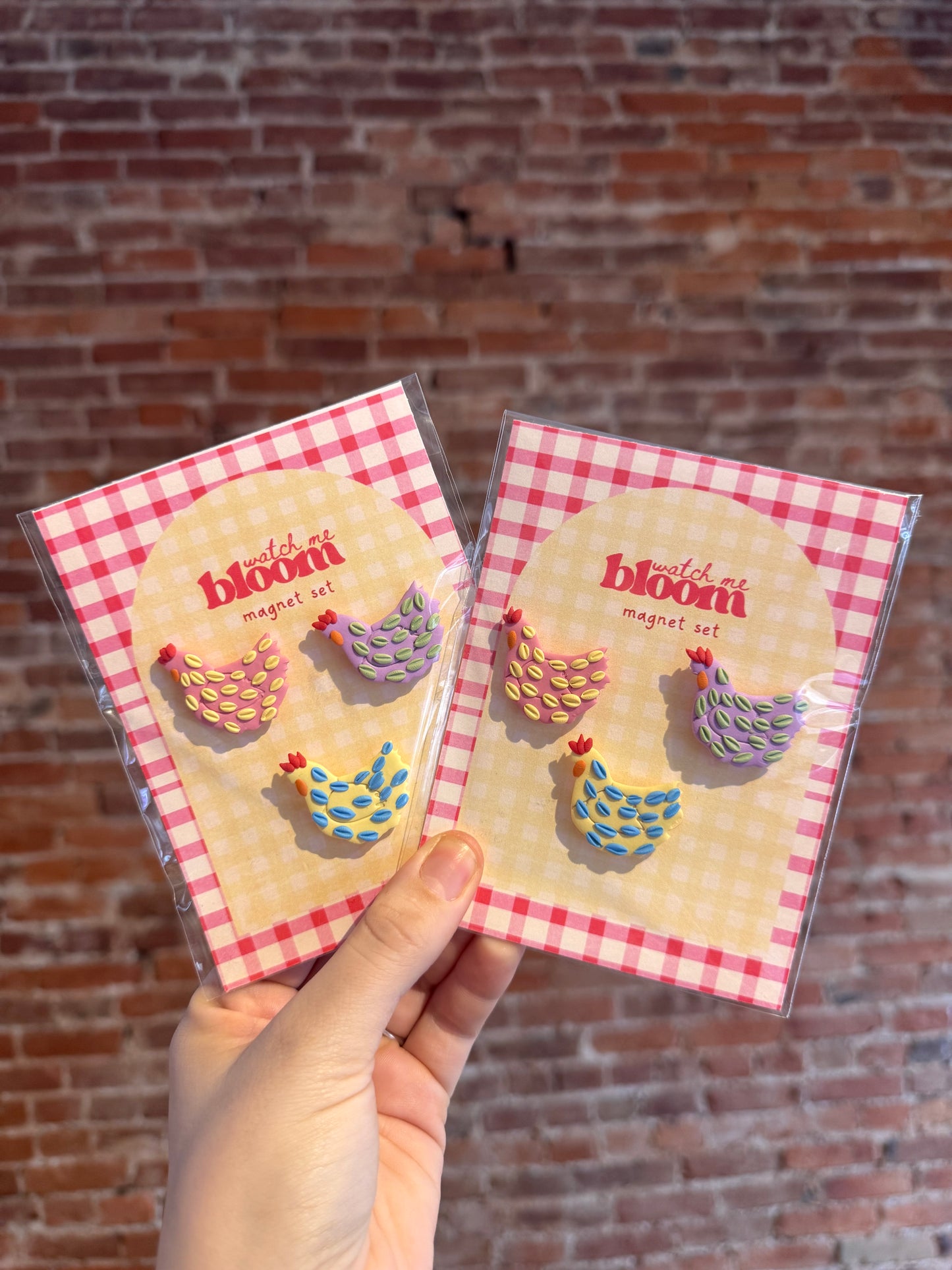 Colorful Chicken Magnet Set