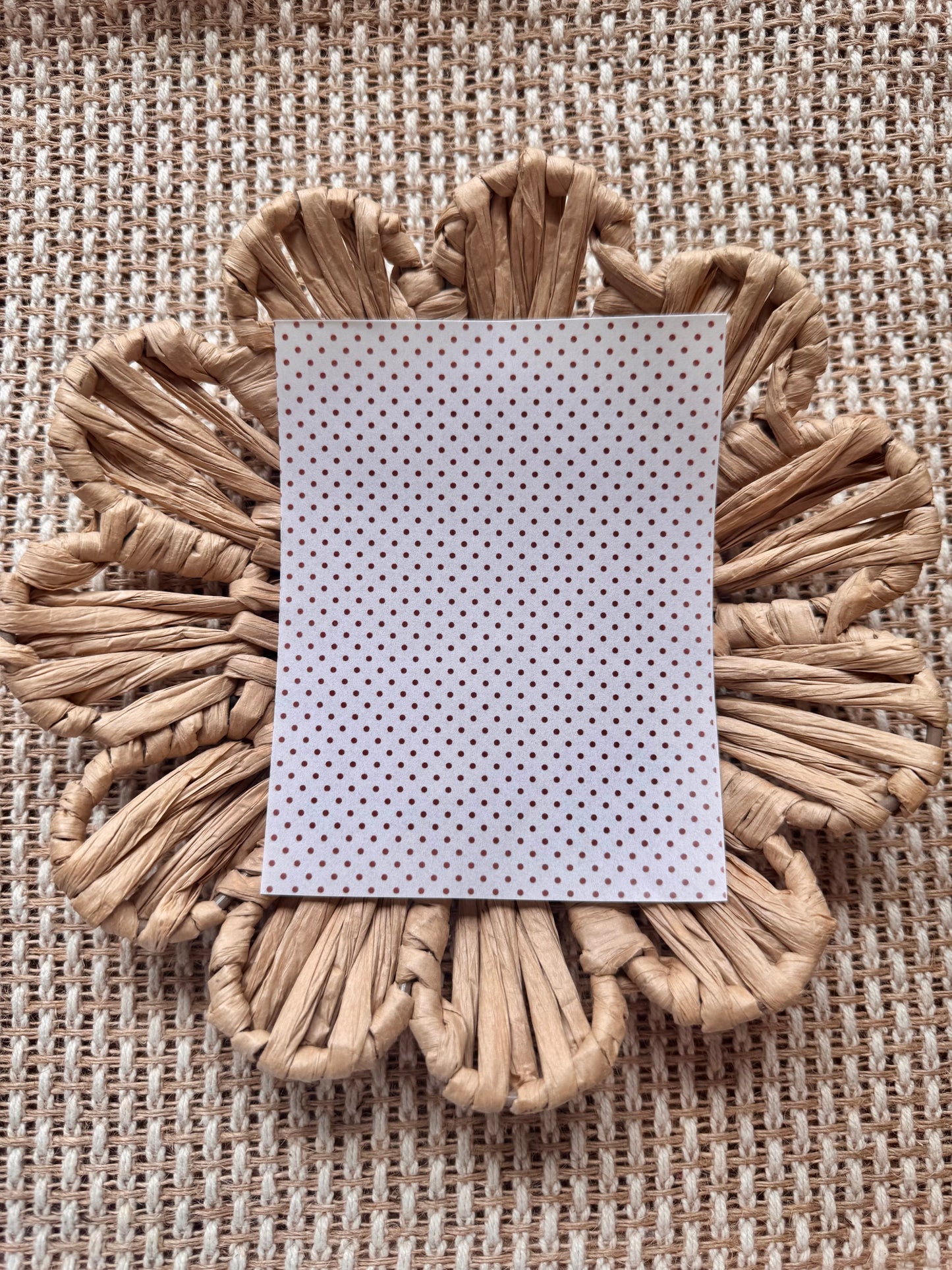 Clay Transfer 448 | Halloween