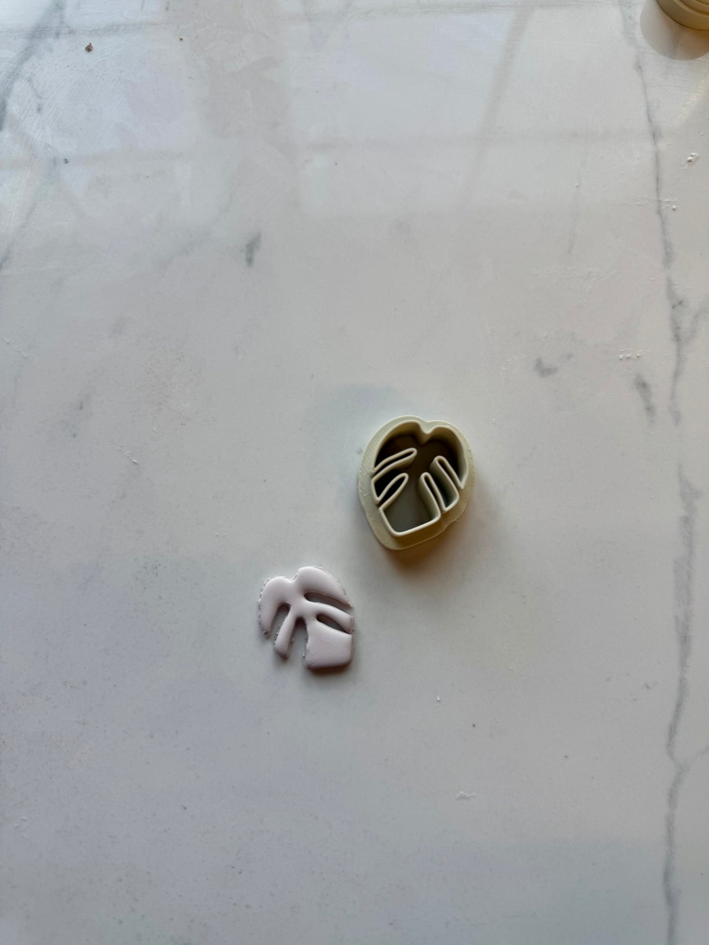 Monstera Leaf Cutter