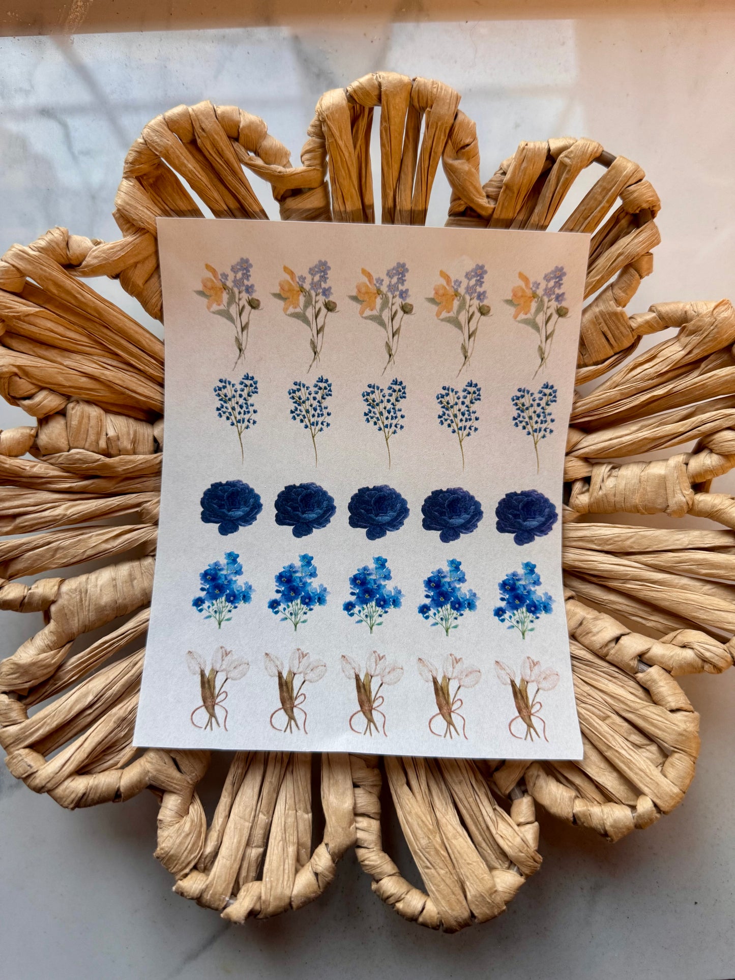 Charm Transfer Sheet 56