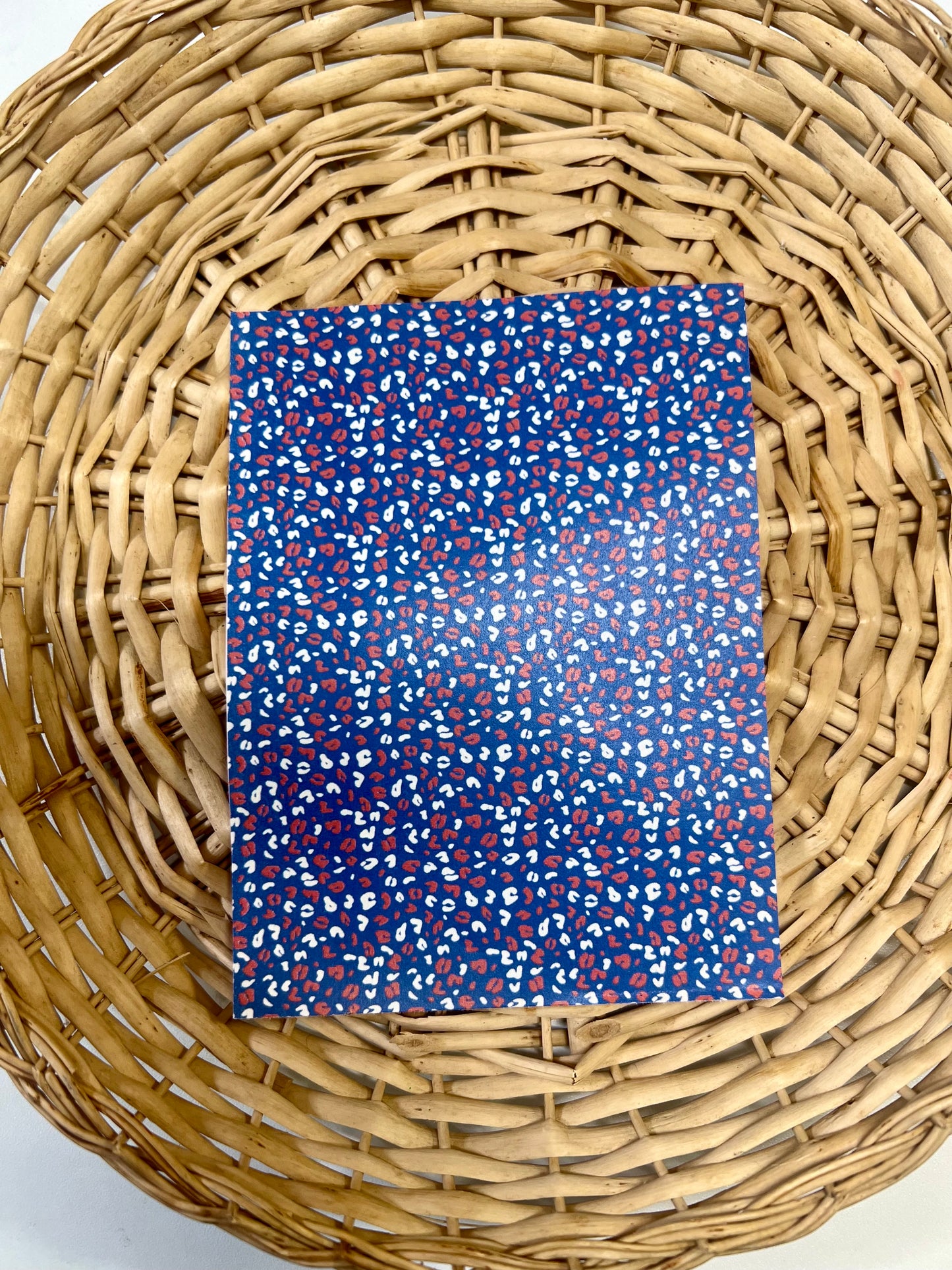 Clay Transfer 4th of July 6