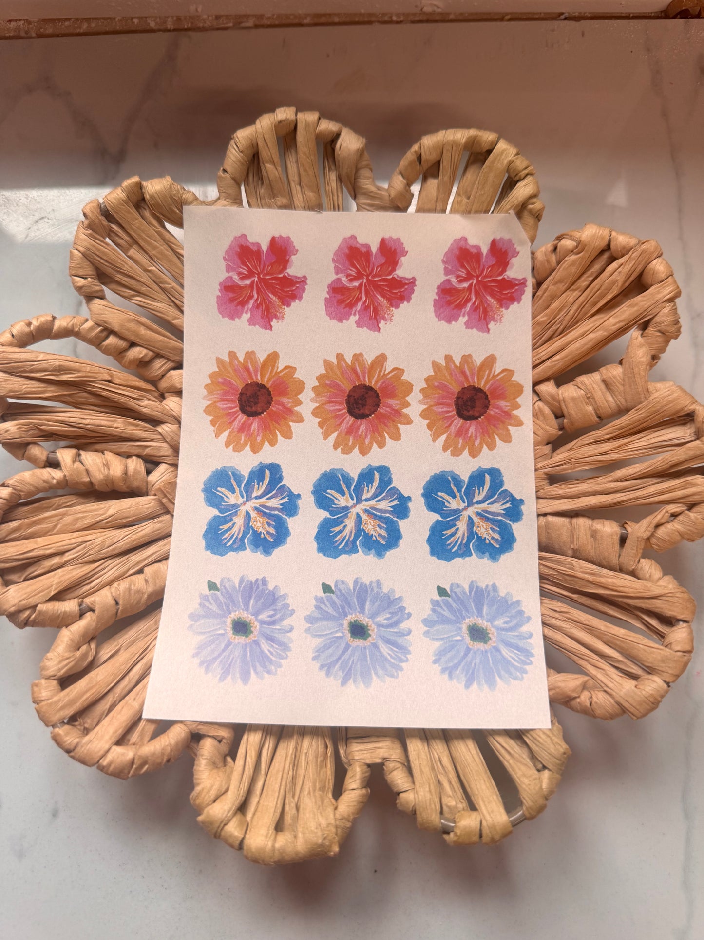 Charm Transfer 84