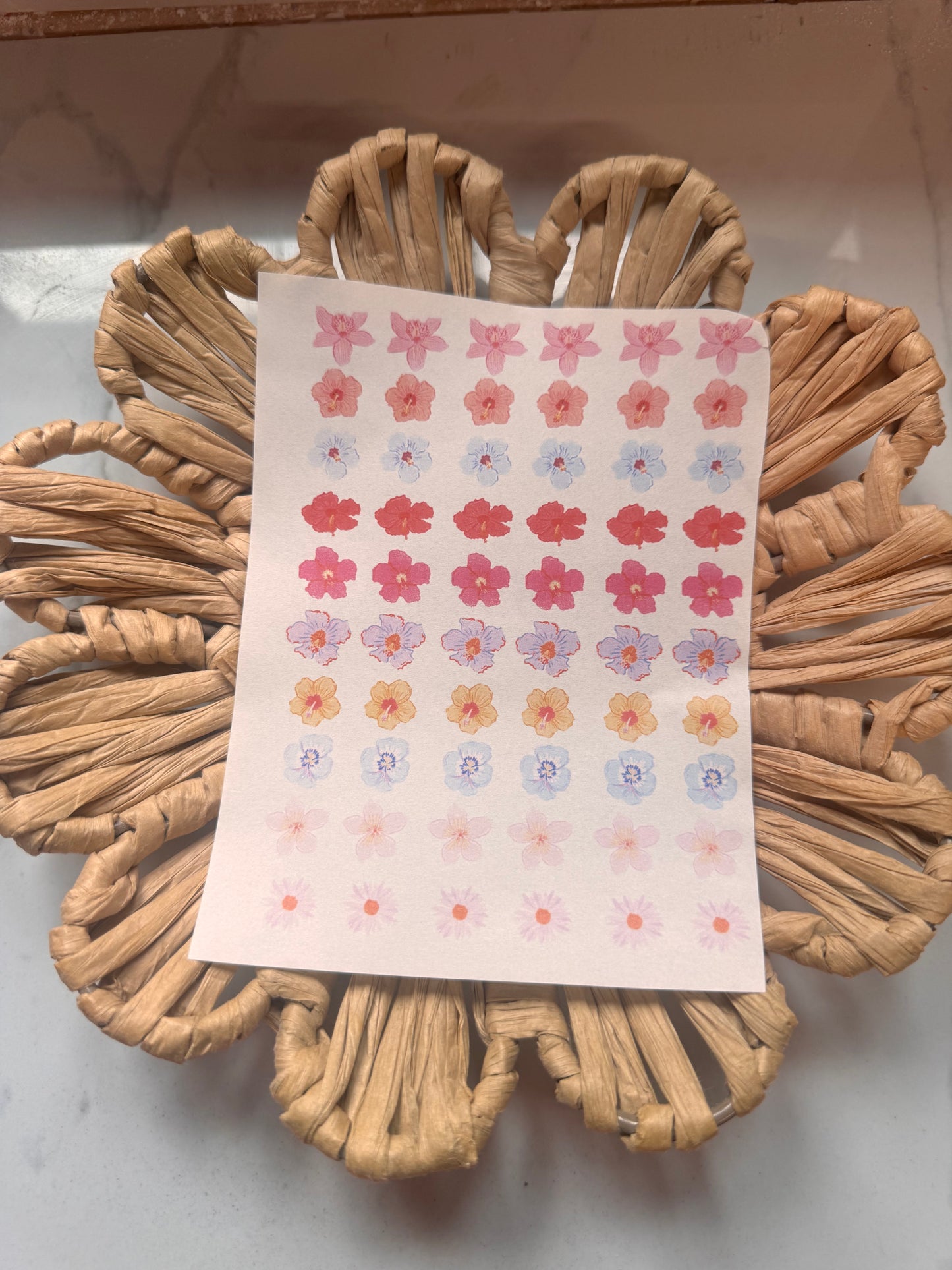 Charm Transfer 80
