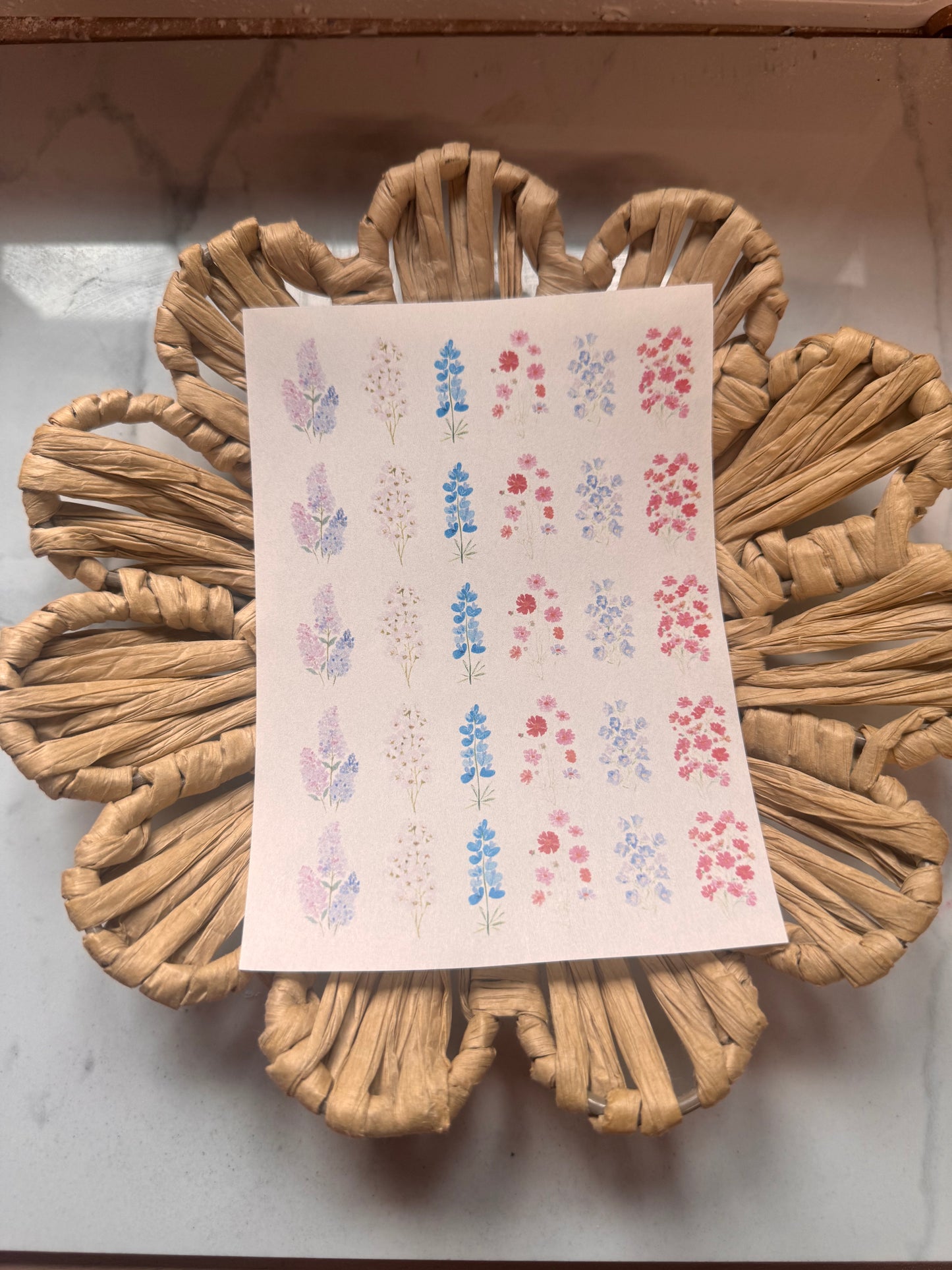 Charm Transfer 66
