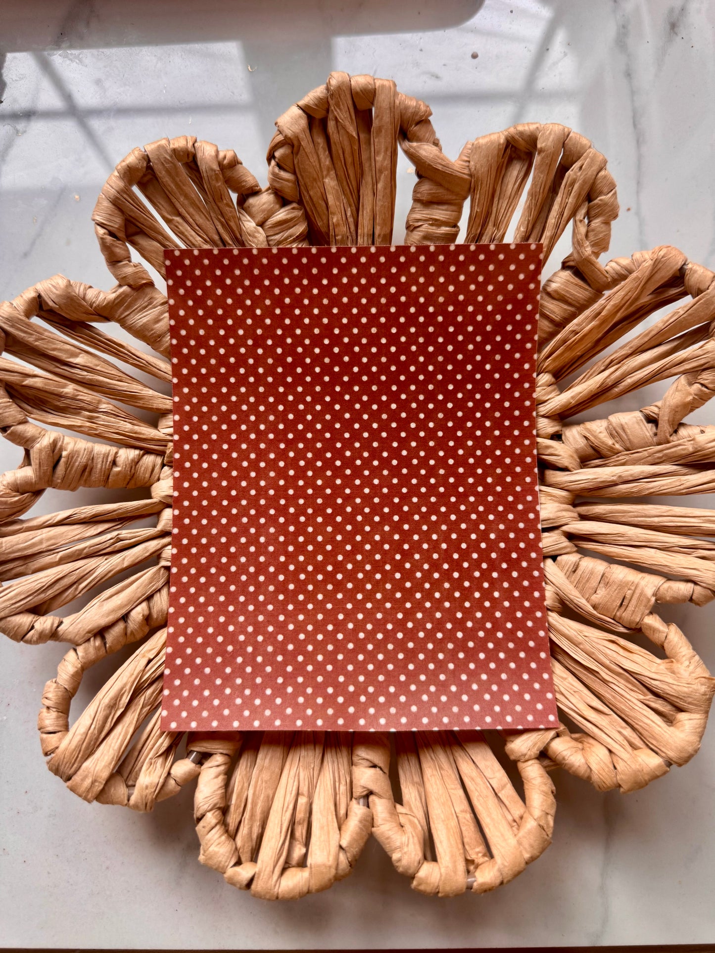 Clay Transfer 464 | Brown Polkadots