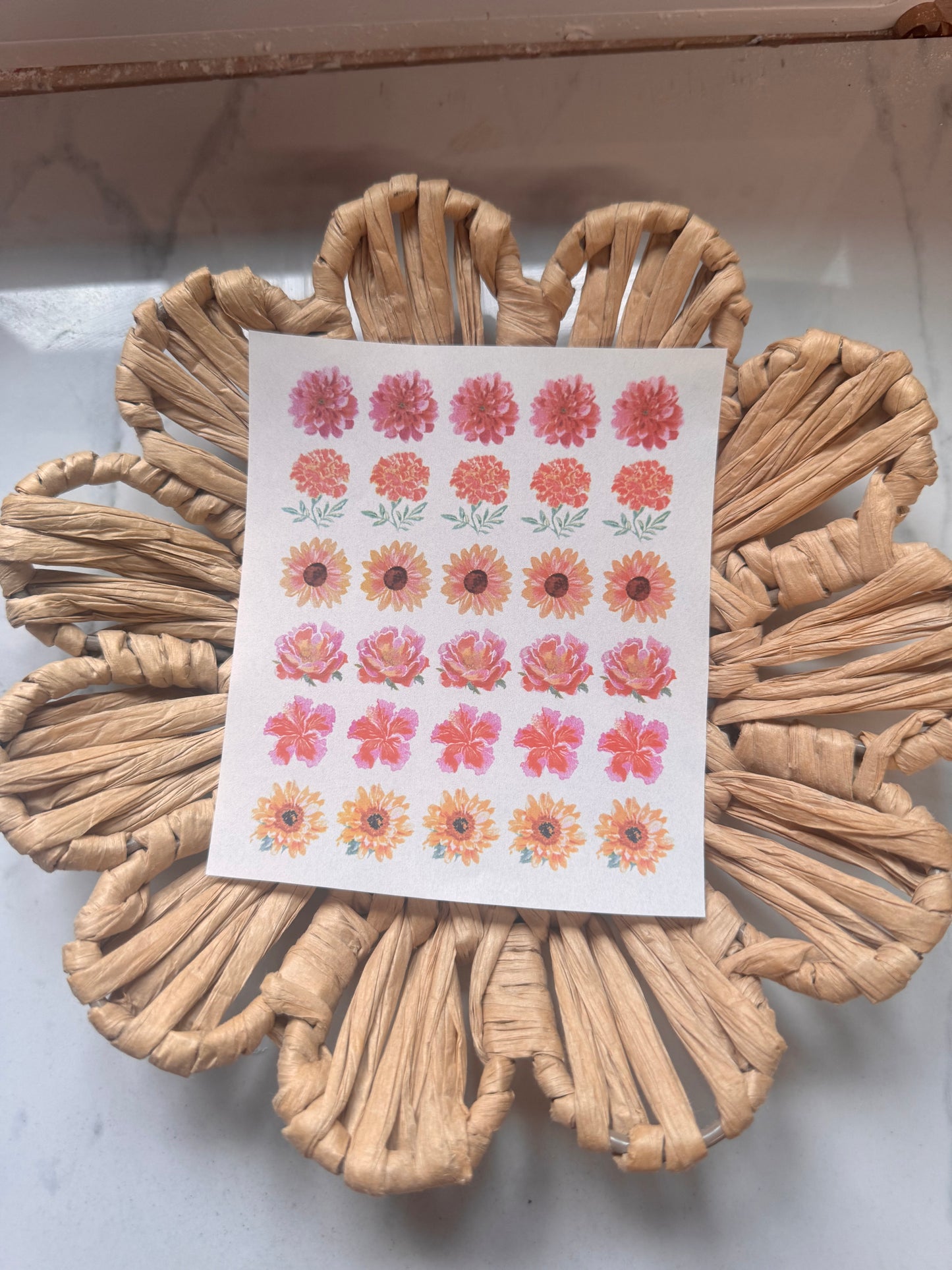 Charm Transfer 96