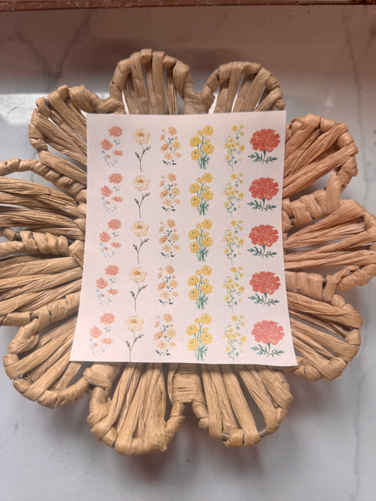 Charm Transfer 82