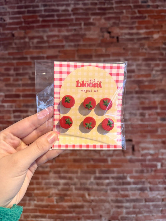 Tomato Magnet Set