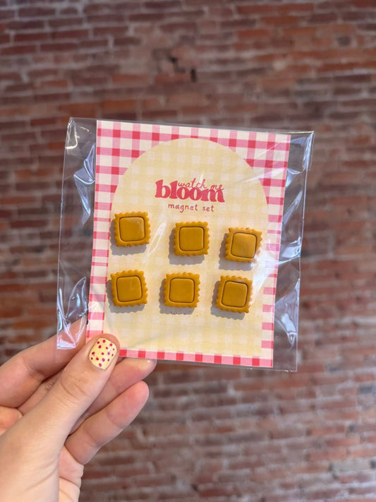 Ravioli Clay Magnet Set