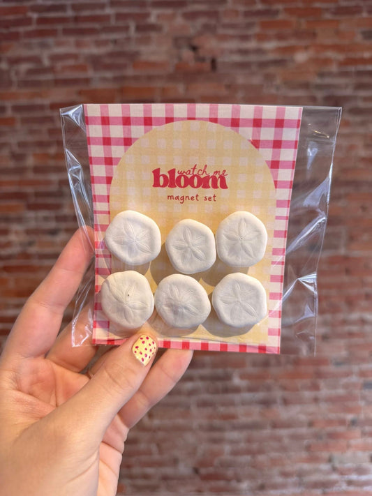 Faux SandDollar Magnets