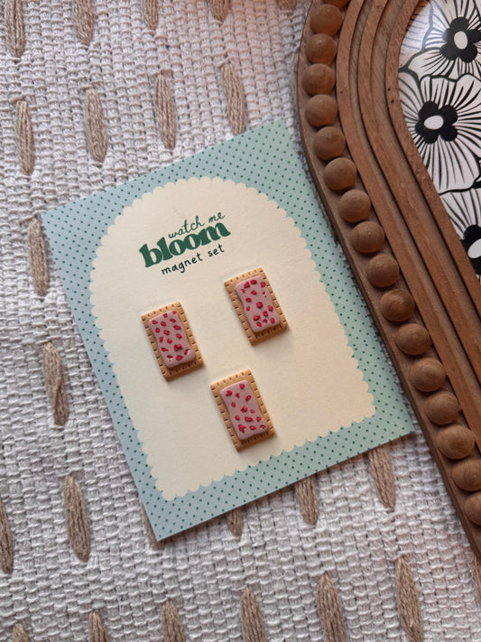 Strawberry Poptart Magnet Set