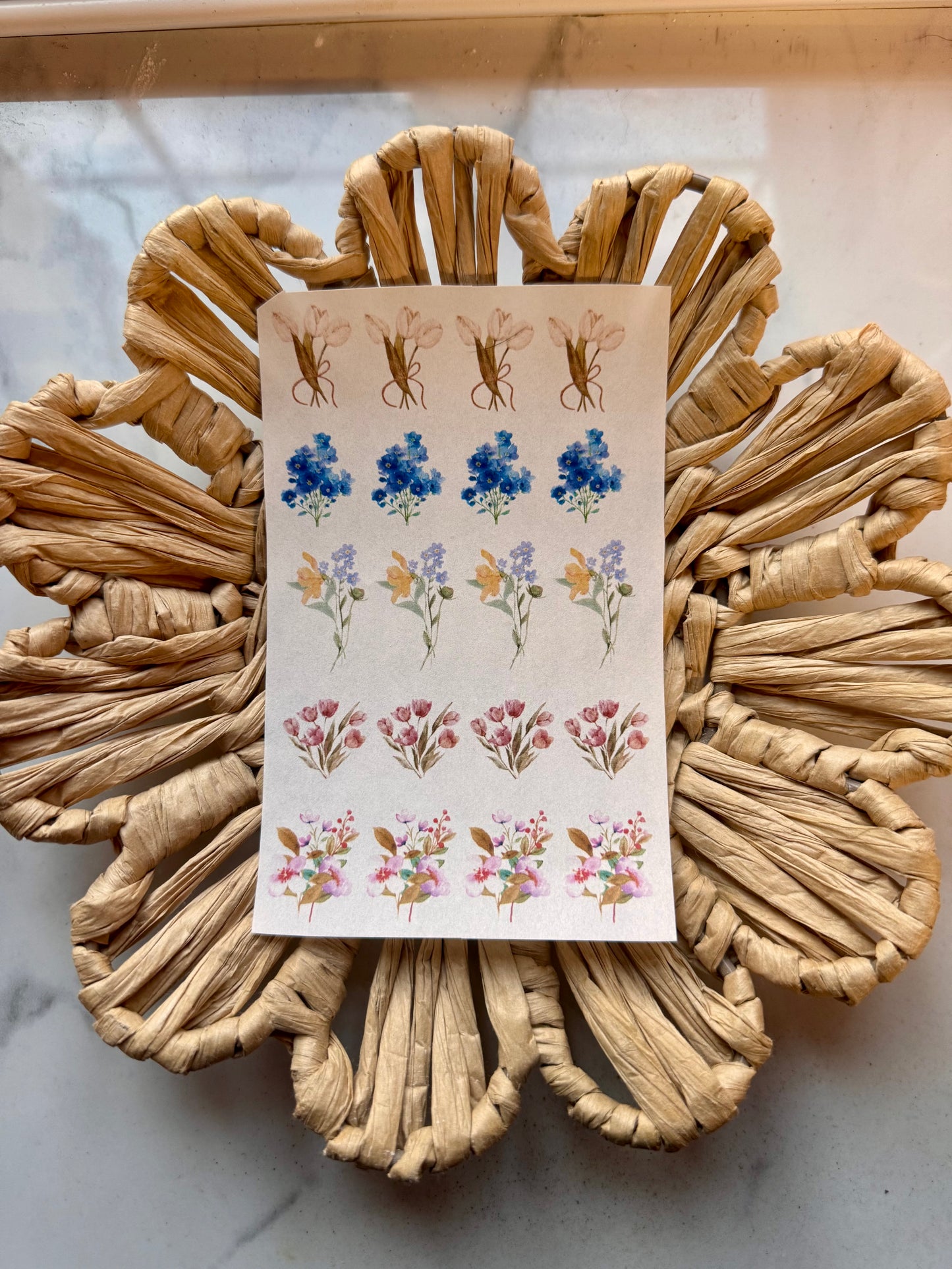 Charm Transfer Sheet 62