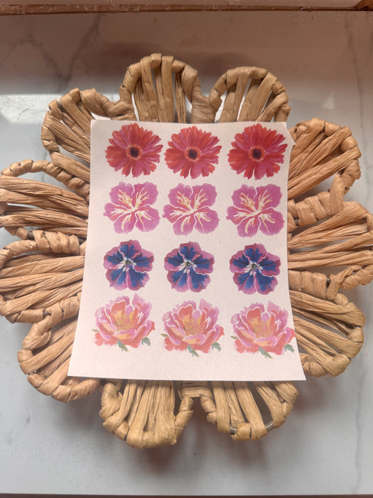Charm Transfer 81