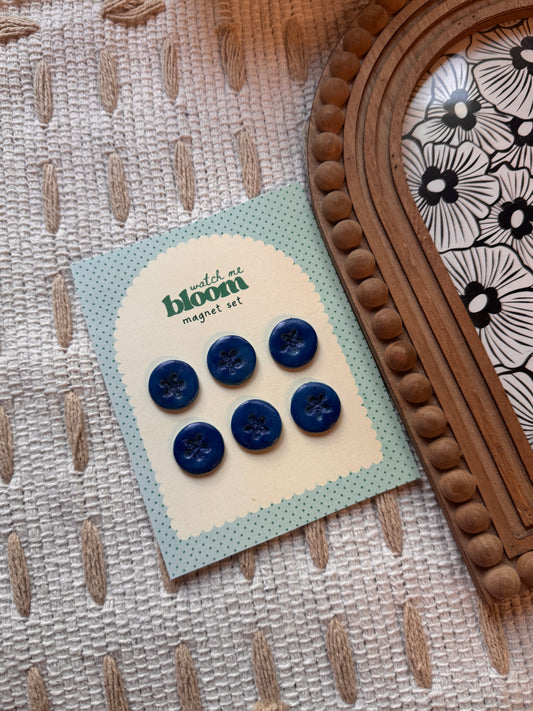 Blueberry Magnet Set