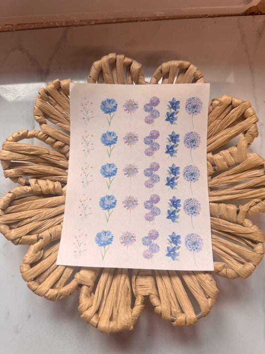 Charm Transfer 87