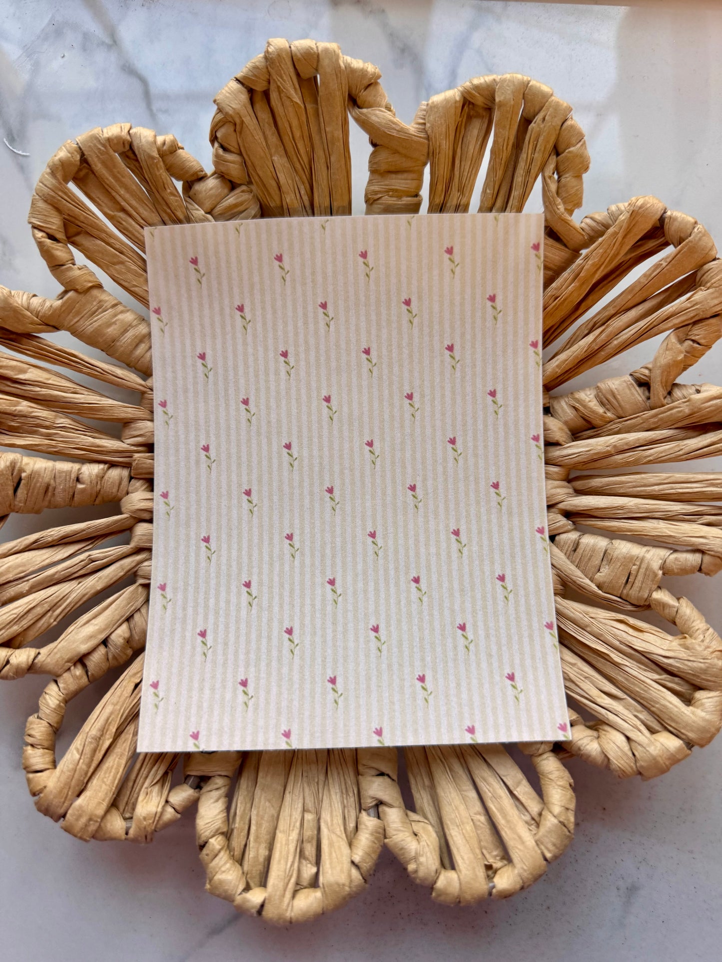 Clay Transfer 679