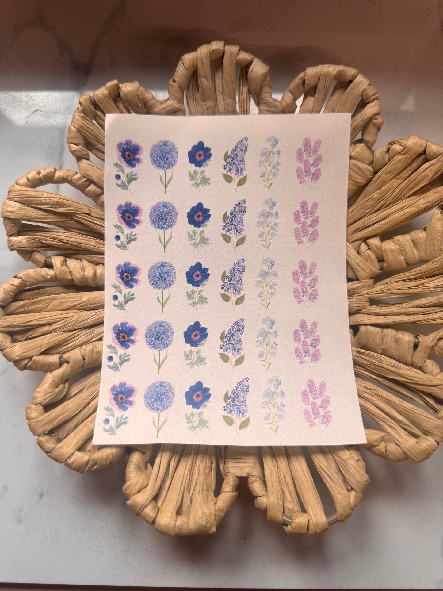 Charm Transfer 67