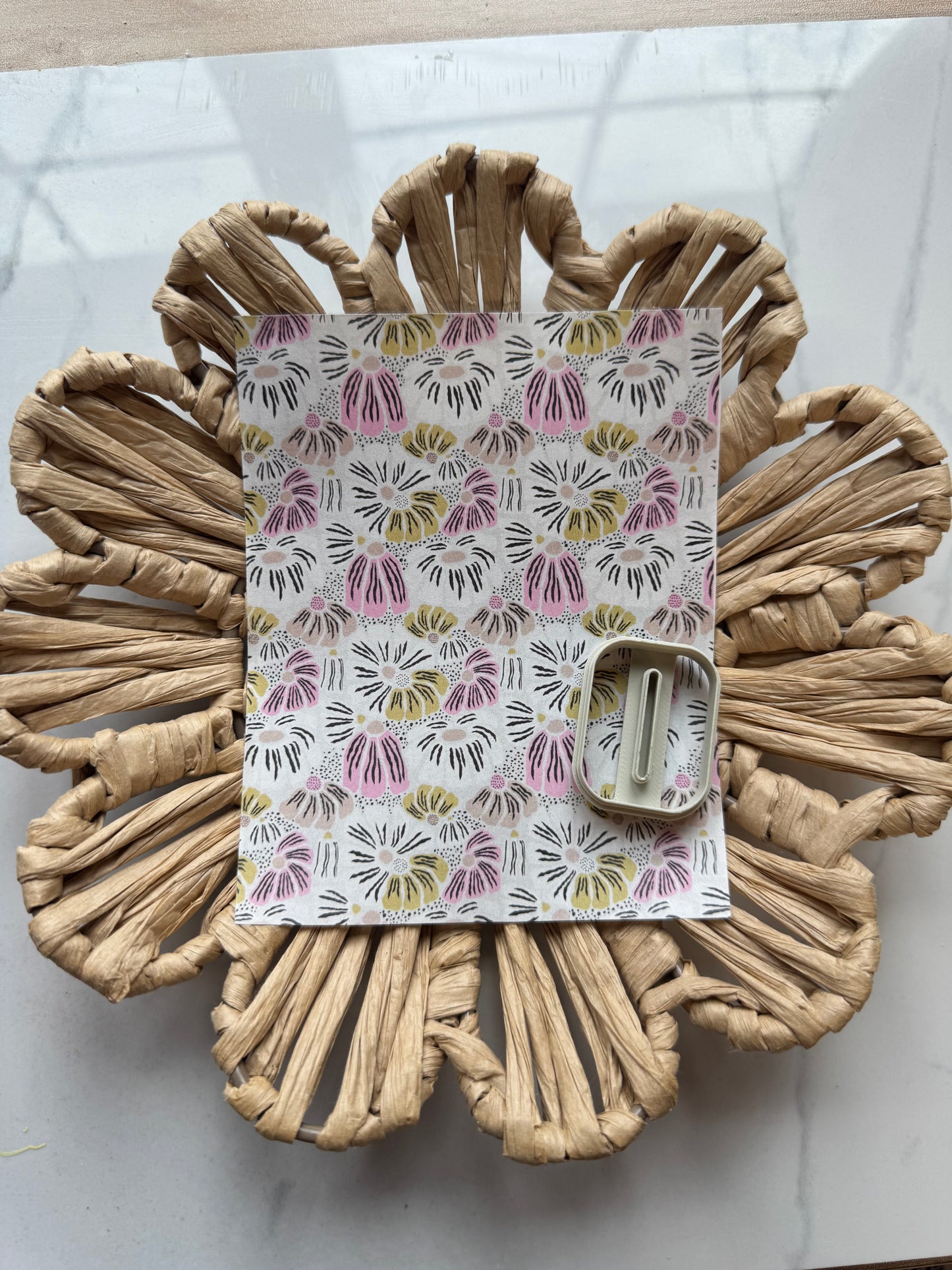 Friday's Favorite 3/22